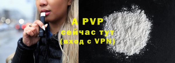 ГАЛЛЮЦИНОГЕННЫЕ ГРИБЫ Беломорск