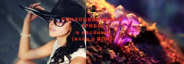 ГАЛЛЮЦИНОГЕННЫЕ ГРИБЫ Беломорск